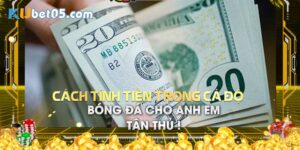 Cách Tính Tiền Trong Cá Độ Bóng Đá Dễ Hiểu Cho Tất Cả Cược Thủ